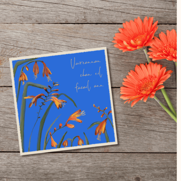 Gaelic sympathy card sometimes there are no words Uaireannan chan eil facal ann