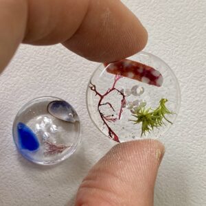 Original beachcombers buttons! - Image 10