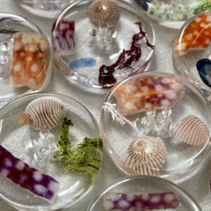 Original beachcombers buttons! - Image 11