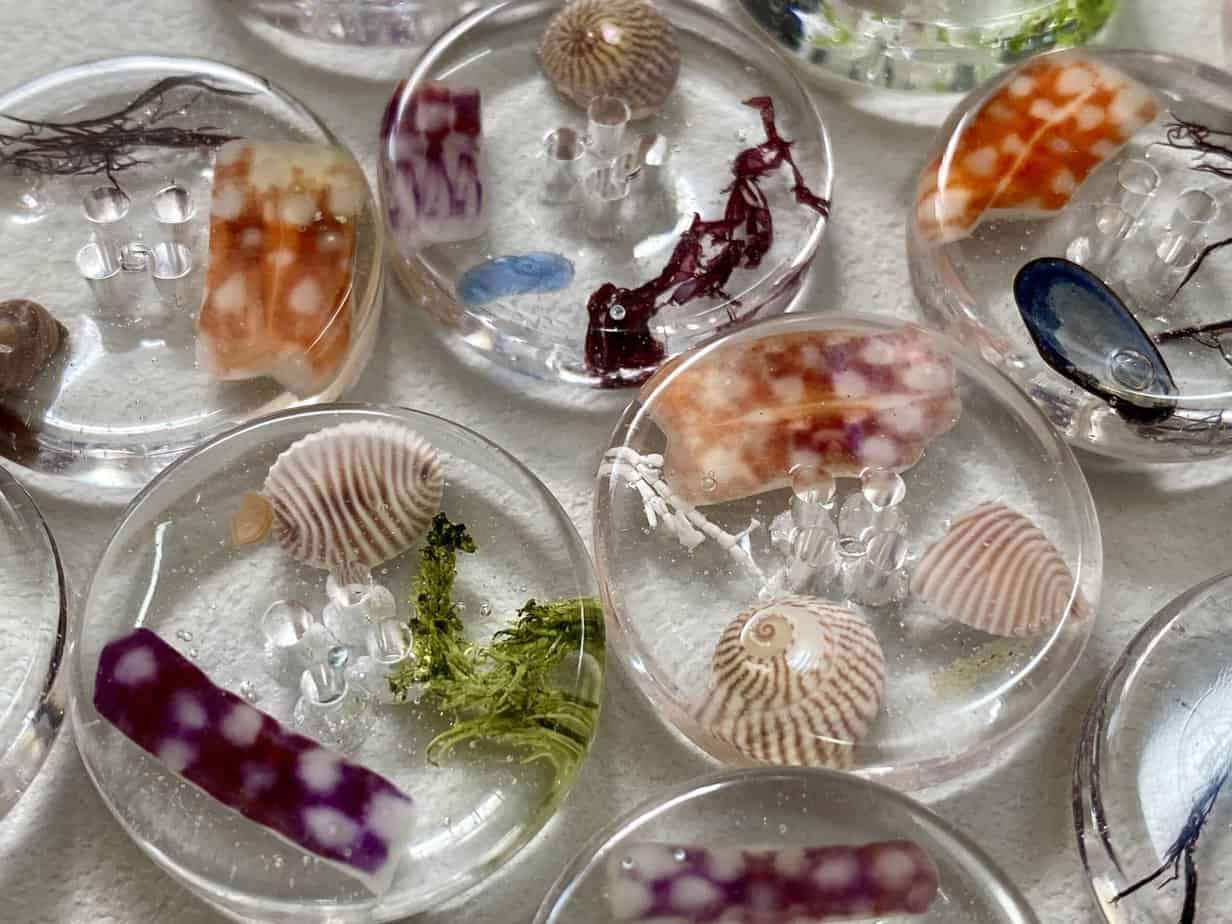 Original beachcombers buttons! - Image 11