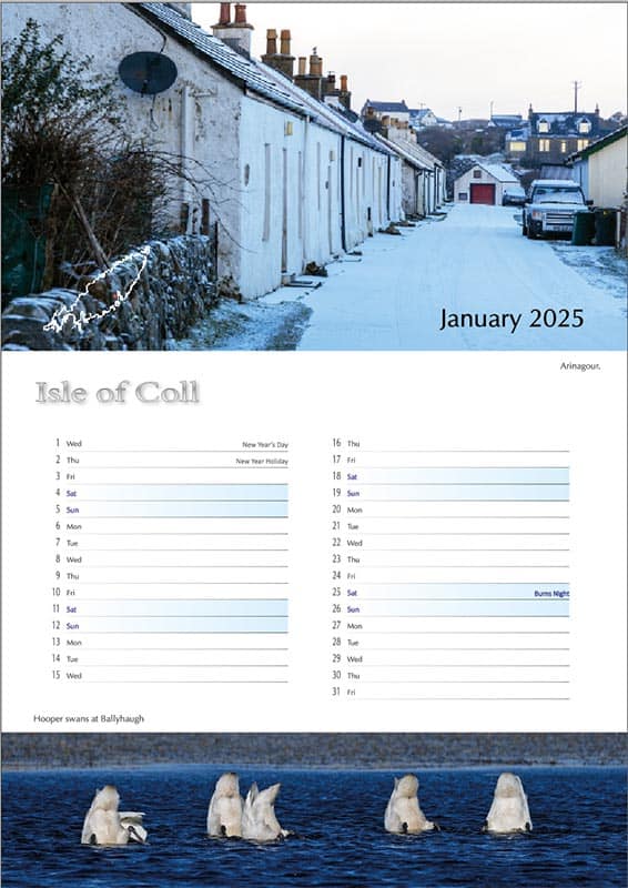 2025 Coll Calendar A3