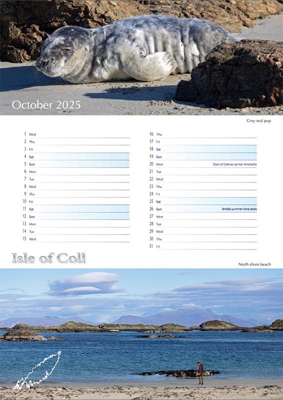 2025 Coll Calendar A3