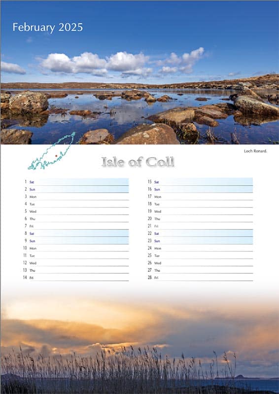 2025 Coll Calendar A3