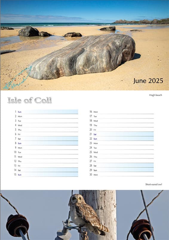 2025 Coll Calendar A3