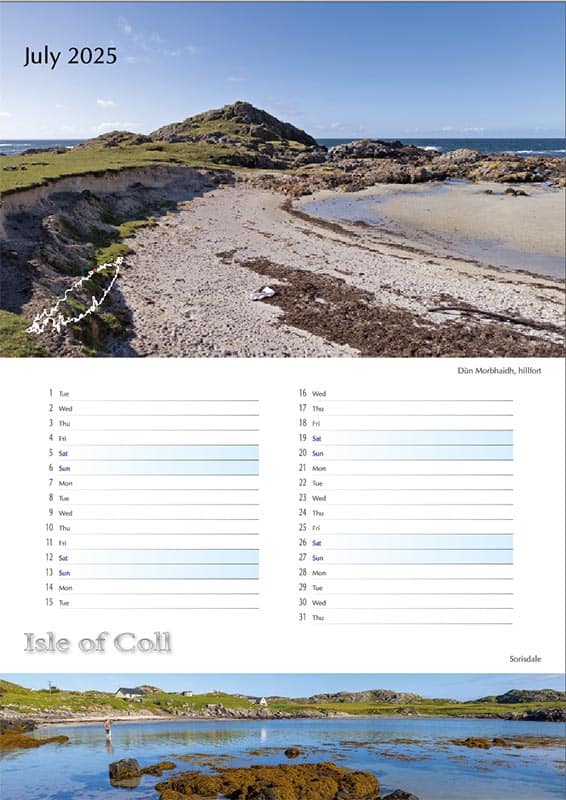 2025 Coll Calendar A3