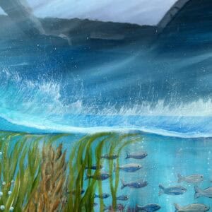 Underwater world Shetland. - Image 4