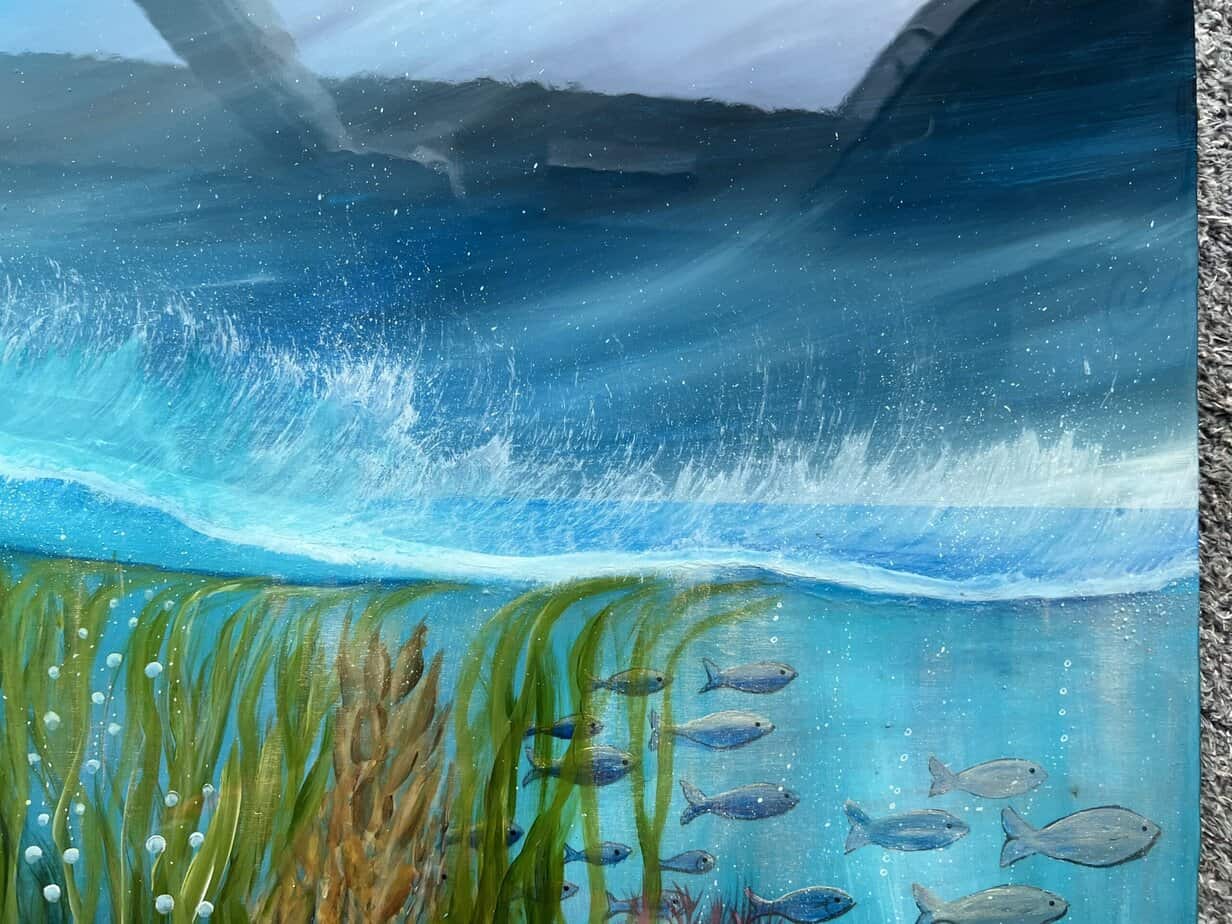 Underwater world Shetland. - Image 4