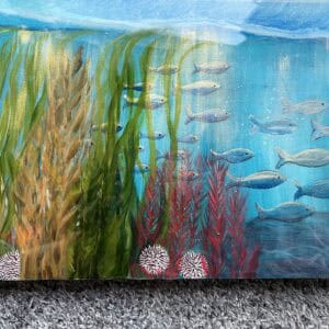 Underwater world Shetland. - Image 3