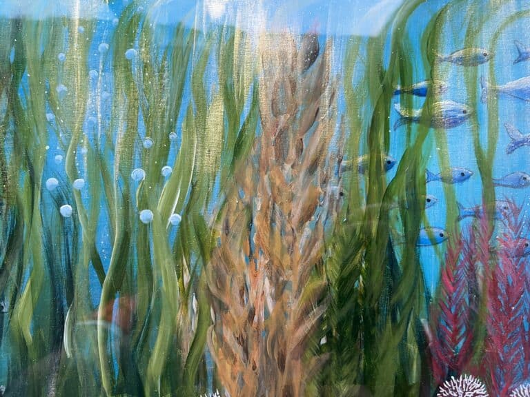 Underwater world Shetland.