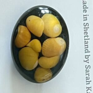 Sunset beach shell brooch. - handmade by Sarah Kay Arts (view 5)