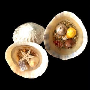 Shell puddles. - handmade by Sarah Kay Arts (view 7)