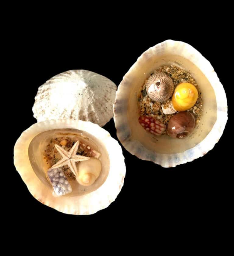 Shell puddles. - handmade by Sarah Kay Arts (view 7)