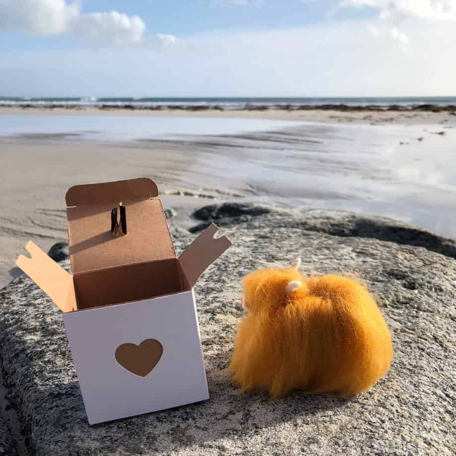 Tiree Coos