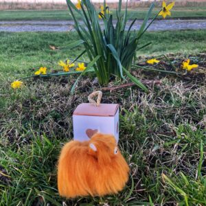 Mini Coo-In-A-Box - handmade by Tiree Coos and Bags (view 4)