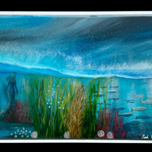 Underwater world Shetland. - Image 6