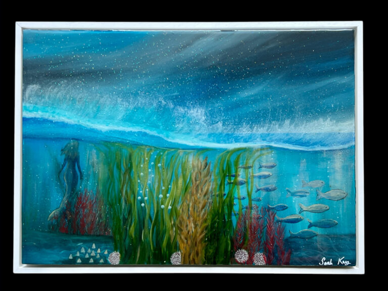 Underwater world Shetland.