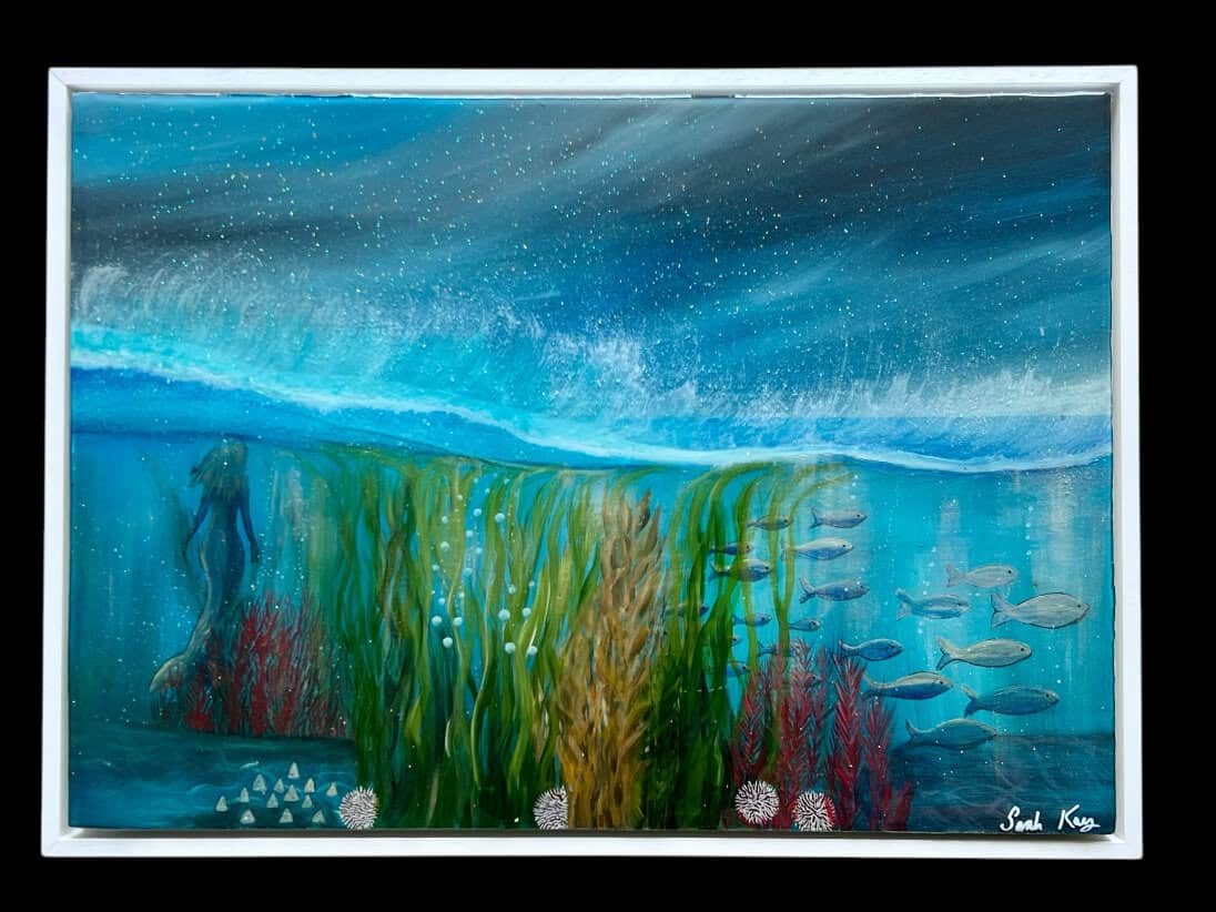 Underwater world Shetland. - Image 6