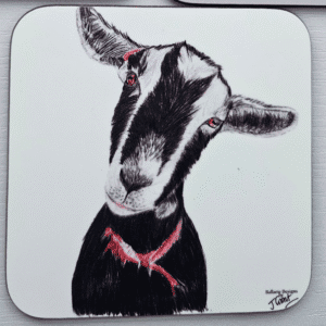 Coasters - Image 3
