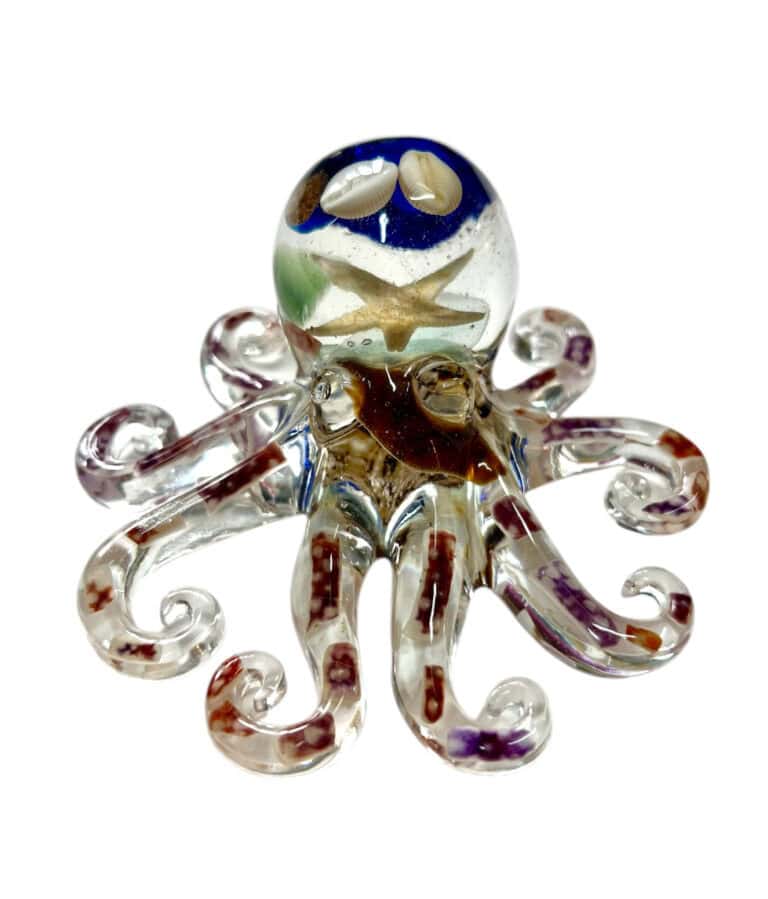 Octopus from Shetland
