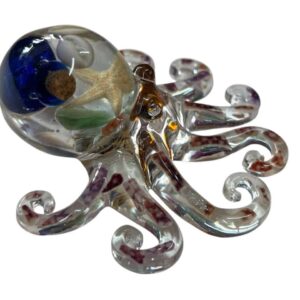 Octopus from Shetland - Image 3