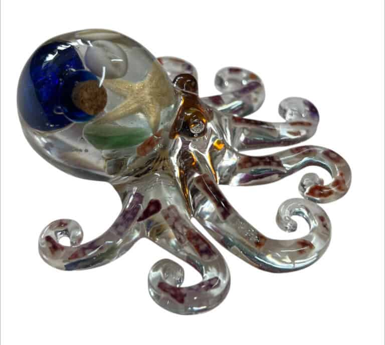 Octopus from Shetland