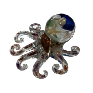 Octopus from Shetland - Image 2