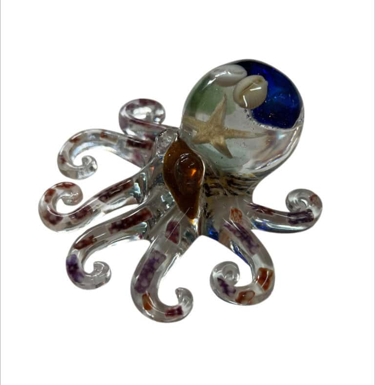 Octopus from Shetland
