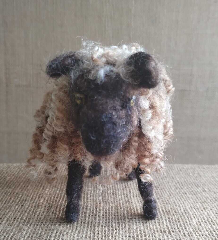 Needle felted Shetland sheep - Image 1