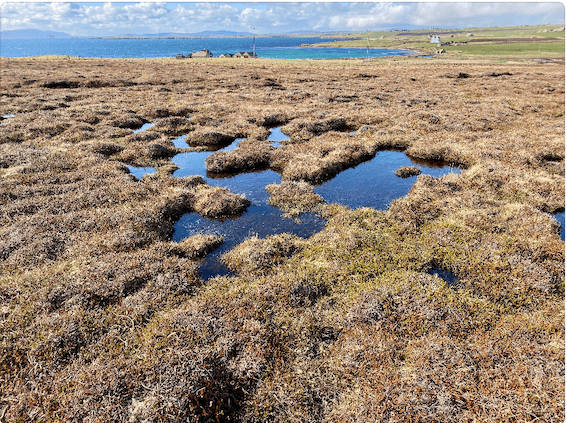 Pack of 5 A6 Orkney Landscape and Nature Greeting Cards