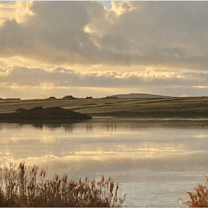 Pack of 5 Orkney A6 Wintry Greeting Cards - Image 5