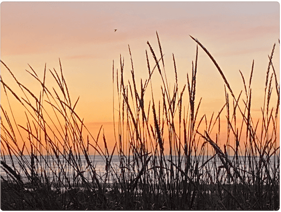 Pack of 5 Orkney A6 Wintry Greeting Cards