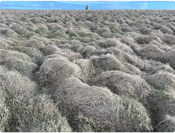 Pack of 5 Orkney A6 Wintry Greeting Cards
