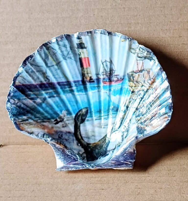 Lighthouse shell (1)