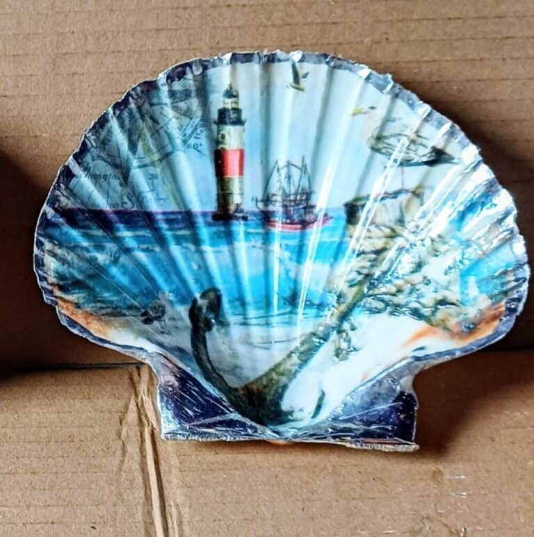 Lighthouse shell (2)