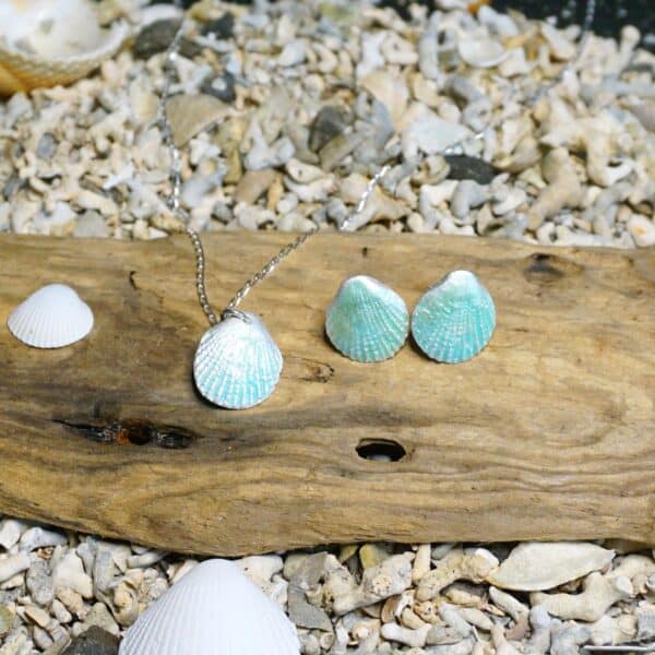 Enamelled Scallop Stud Earrings