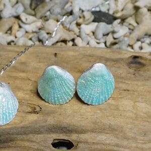 Enamelled Scallop Stud Earrings - Image 1