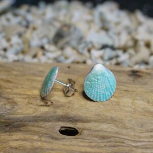Enamelled Scallop Stud Earrings - Image 2