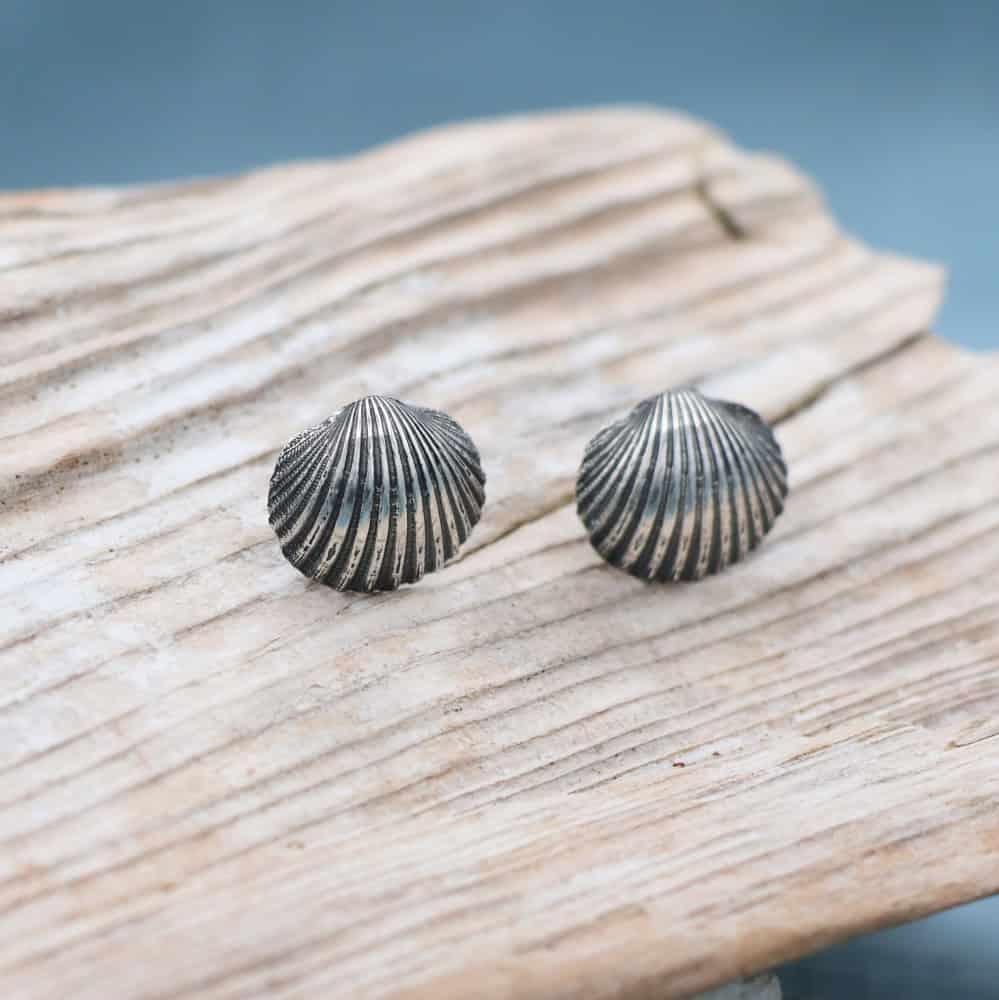 Scallop Shell Stud Earrings - Image 1