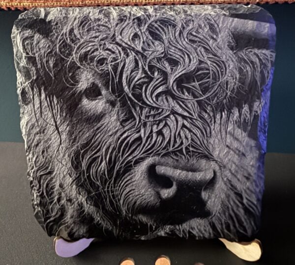 Highland Cow Slate Coaster - handmade by Barnweil (view 2)