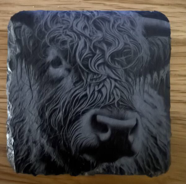 Highland Cow Slate Coaster - handmade by Barnweil (view 3)