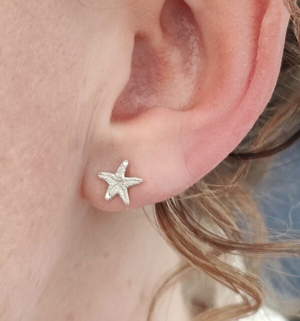 Star Fish Shell Silver Earstuds
