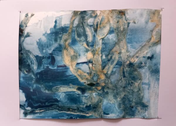 Unique seaweed pressed image reflecting ‘Seaweed' in the Seas around Skye