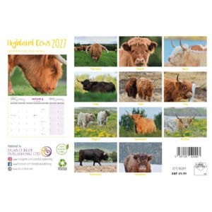 Island Blue 2027 Landscape Calendar Highland Cows - Image 2