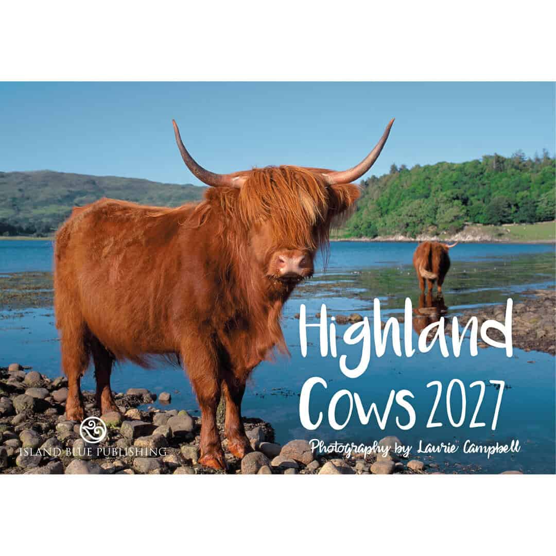 Island Blue 2027 Landscape Calendar Highland Cows - Image 1