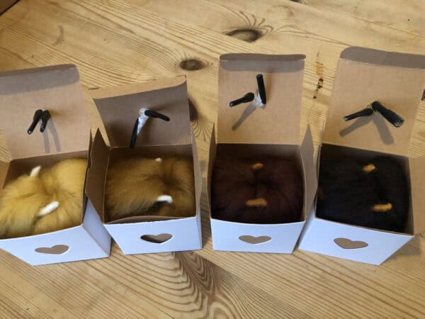 Mini Coo-In-A-Box - handmade by Tiree Coos and Bags (view 5)