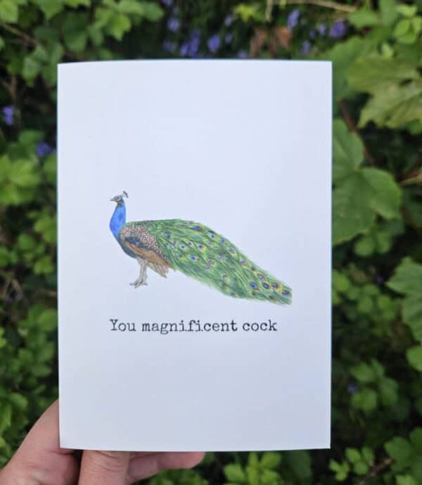 You magnificent cock - greetings card