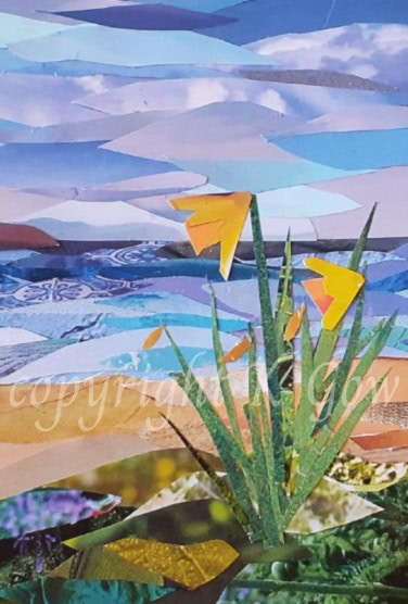 A watermarked image of a collage depicting daffodils by the sea