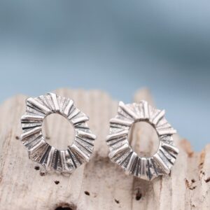 Limpet Fragment Ear studs